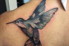 cover up 2