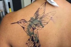cover up